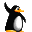 Pingouin1