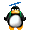Pingouin2